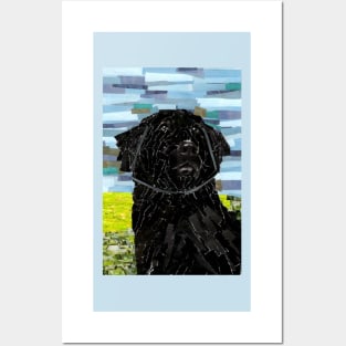 Newfoundland Dog Collage Posters and Art